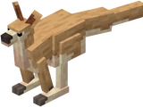 Kangaroo