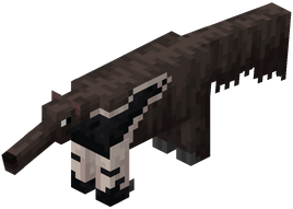 Anteater