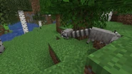 Raccoon Habitat.png (1.33 MB) Two Raccoons in a Forest.