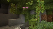 Flutter Flapping.png (917 KB) A Flutter flying around a Lush Cave by flapping its large flower.
