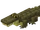 Caiman