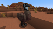 An Emu in the Badlands.