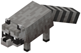 Raccoon