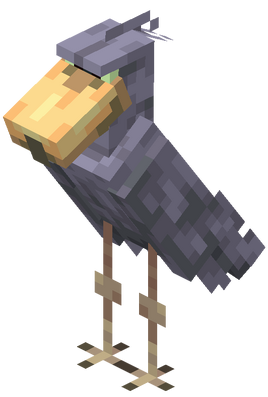 Shoebill