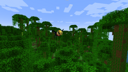 A Toucan flying above a Jungle.