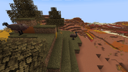 A flock of Emus wandering a Wooded Badlands biome.