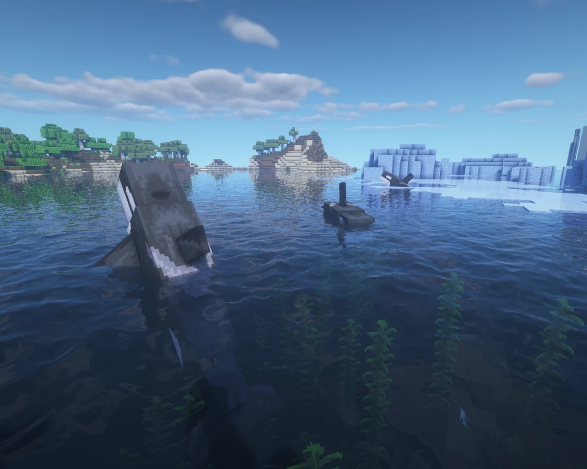 Orca | Wiki Alex's Mobs Español | Fandom