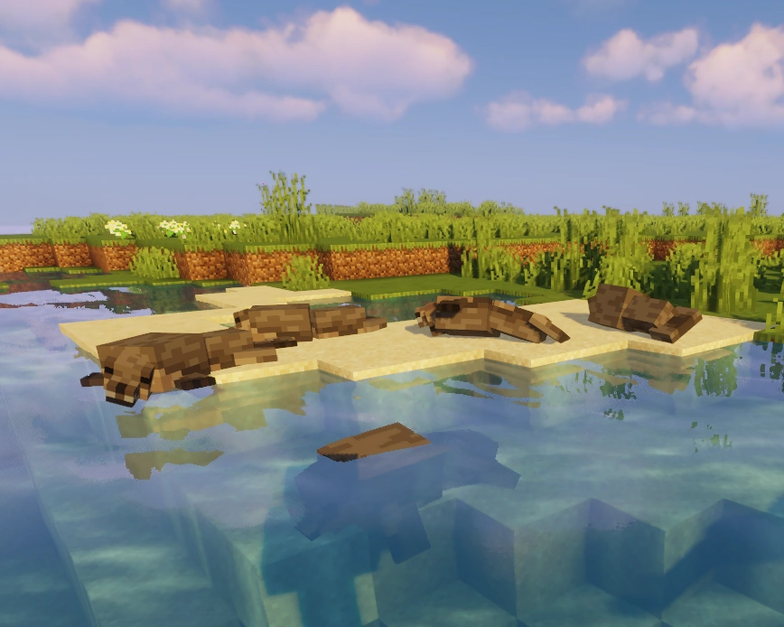 Foca | Wiki Alex's Mobs Español | Fandom