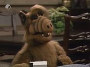 Episodio 31.9.jpg (43 kB)