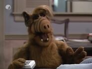 Episodio 31.5.jpg (42 kB)