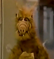 ALF-shocked