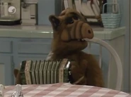 Episodio 31.24.jpg (48 kB)