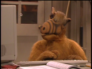 ALF at computer