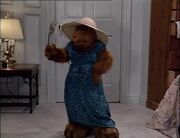 Alf im blauen Kleid