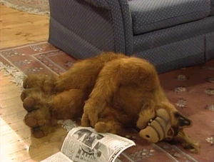ALF faints when he reads an article in The National Inquisitor entitled "Couple in Barstow Living with Space Alien" because he thinks it is describing his cousin Blinky.