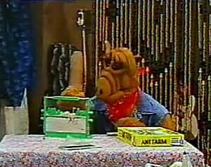Ant Farm.jpg