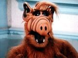 Gordon Shumway (ALF)