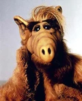 ALF