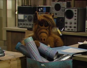 Nuclear waste from ALF's spaceship is contained in canisters such as these. Perhaps unwisely, ALF also uses one of the canisters to store crayons.