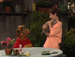 Brian names the new cat Lucky II.