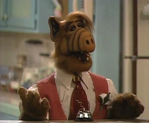 Fritz von Fingerhoff