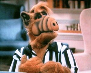 Alf-referee