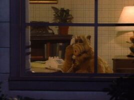 ALF,T1,C21
