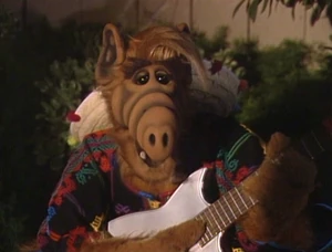 ALF plays guitar and sings "Cielito Lindo" under Lynn's window.