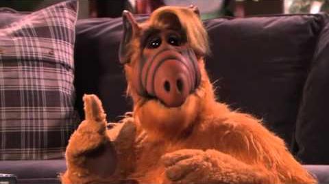 ALF Week on The Hub - ALF Commercial