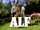 ALF (TV series)