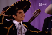 Mariachis