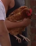 Pochacamila en la Tercera Temporada.