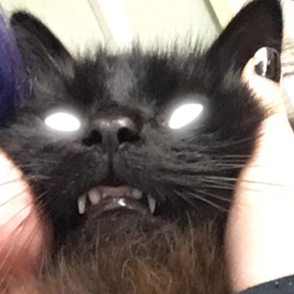 Dexter | Alice Harper Wiki | Fandom