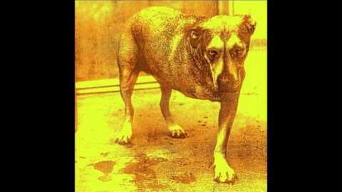 Alice in Chains (album), Alice In Chains Wiki