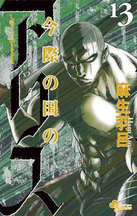 Volume 13