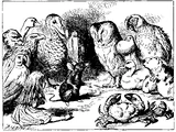 List of creatures in Wonderland