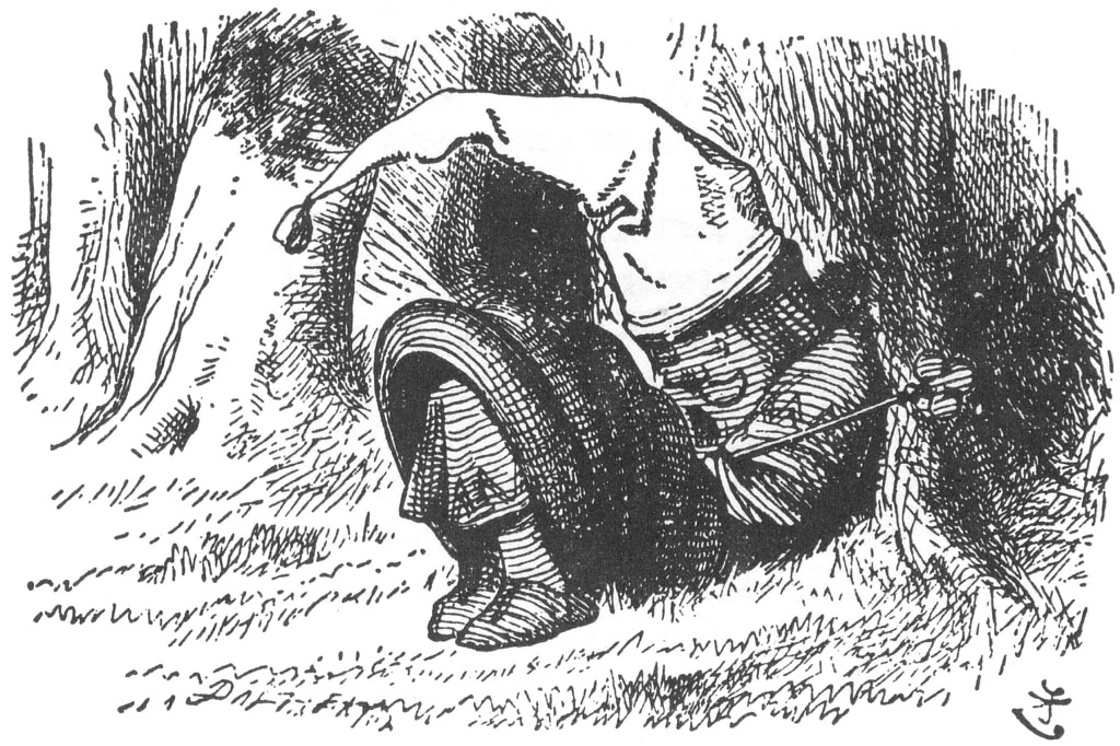 The Red King | Alice in Wonderland Wiki | Fandom