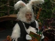 The White Rabbit Adventures in Wonderland.jpg (21 KB) Adventures in Wonderland