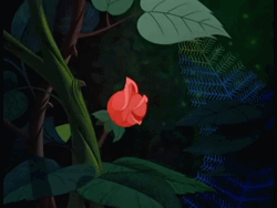 5EC59541-2B34-4A39-8C72-561580294996.gif