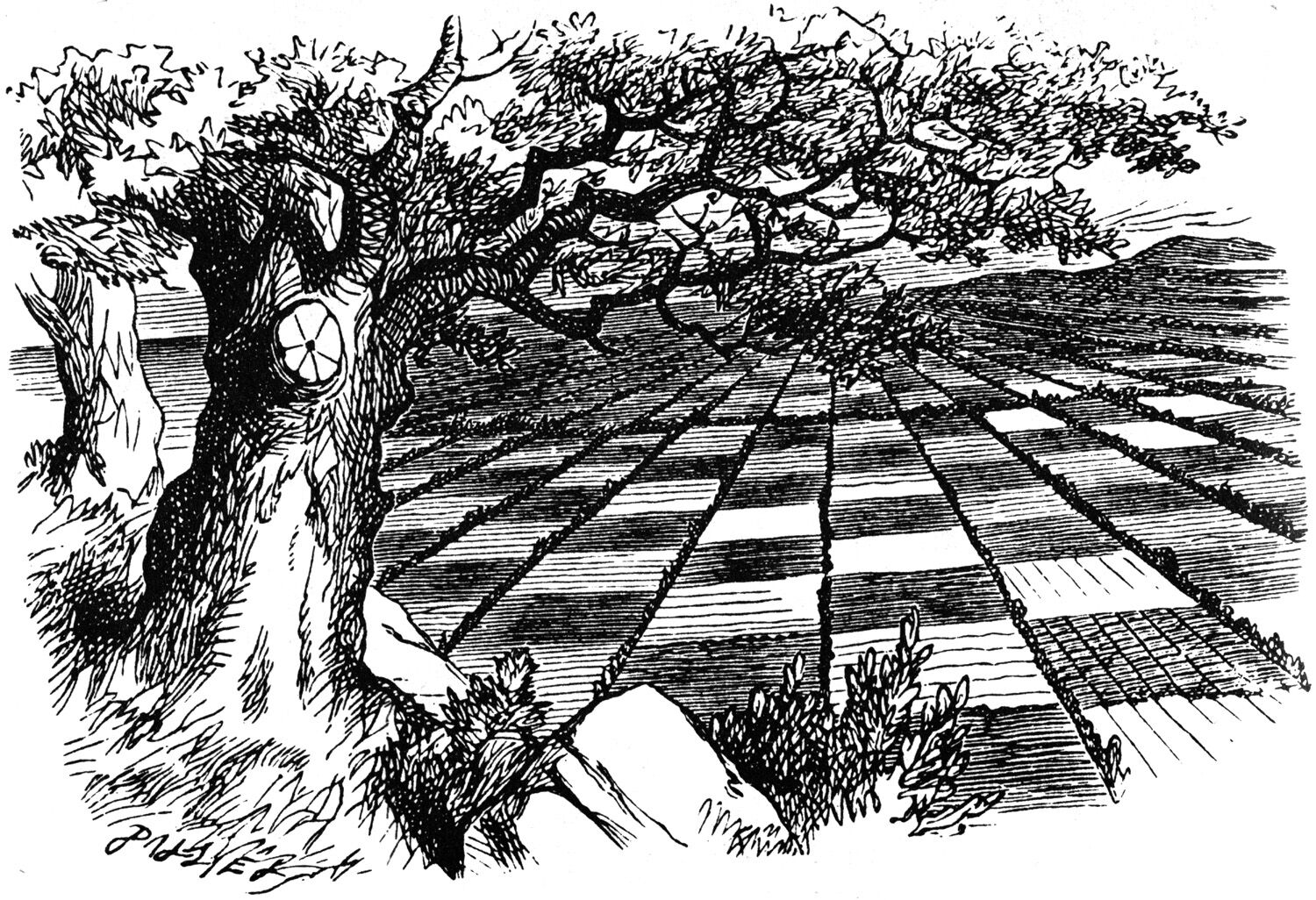 Download Alice Alice In Wonderland Wiki Fandom