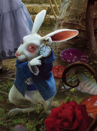 Das Weisse Kaninchen Alice Im Wunderland Wiki Fandom