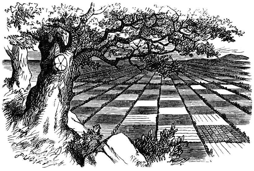 The Chessboard Alice In Wonderland Wiki Fandom