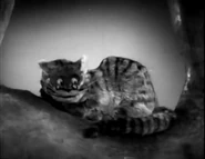Cheshire-1933.png (159 kB) El Gato de Cheshire en la película de Norman McLeod.
