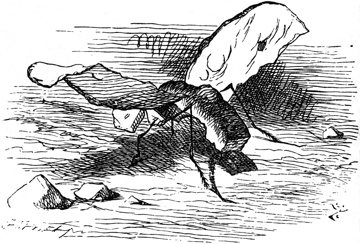 Bread And Butterfly Alice In Wonderland Wiki Fandom Bread And Butterfly Alice In Wonderland Wiki Fandom