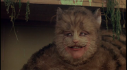 El Gato de Cheshire en la película de William Sterling.
