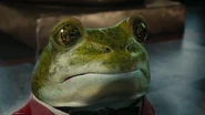 Frog-Footman | Alice in Wonderland Wiki | Fandom