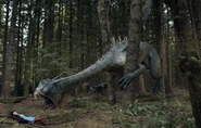 El Galimatazo en la miniserie (2009)