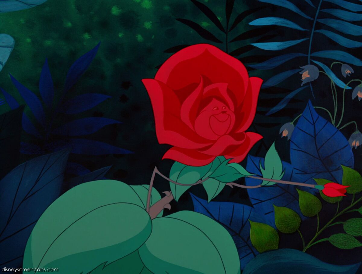 The Flowers Alice In Wonderland Wiki