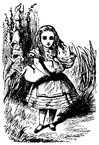 https://static.wikia.nocookie.net/aliceinwonderland/images/8/84/Alice22a.gif/revision/latest?cb=20120813203859