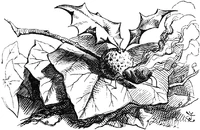 Ilustración de .